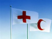 деятельность международного комитета красного креста