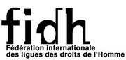 международная федерация за права человека (fidh)