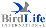 birdlife international